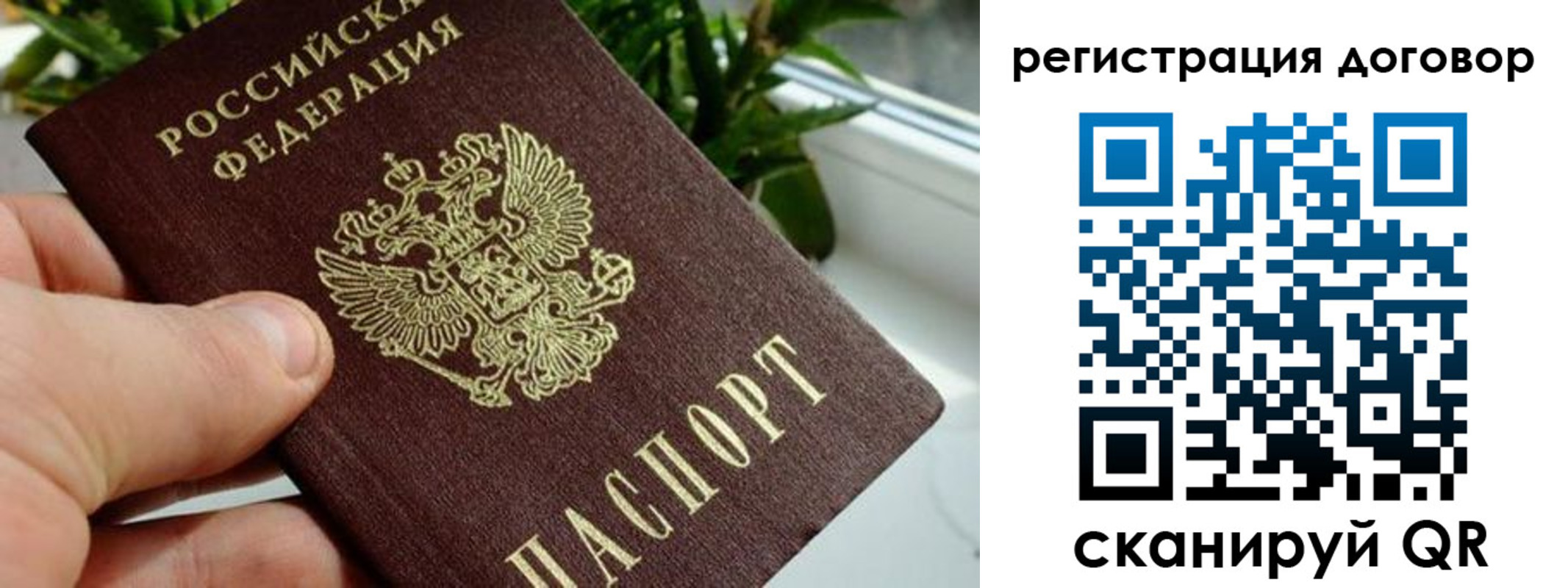 прописка ребенка в Лосино-Петровском